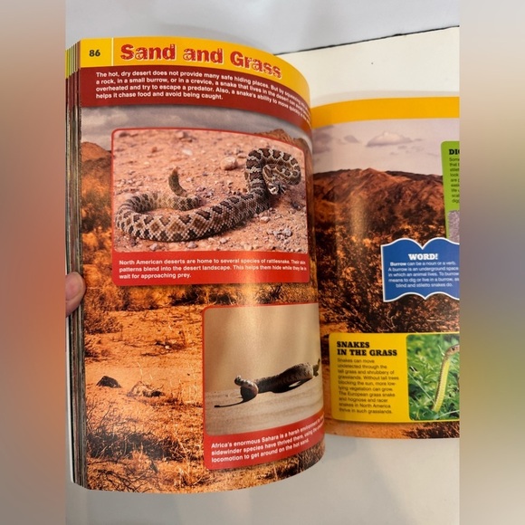 Discovery Snakeopedia: The Complete Guide to Everything Snakes Book for Kids - Picture 6 of 9